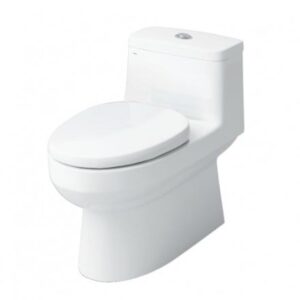 Bồn cầu 1 khối, dòng trung cấp - AC-939VN