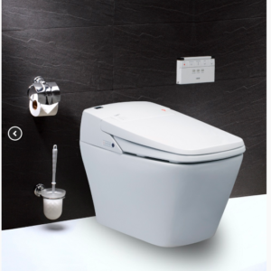 Bồn cầu điện tử - CA1380H