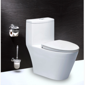 Bồn cầu một khối TOTO - CD1363