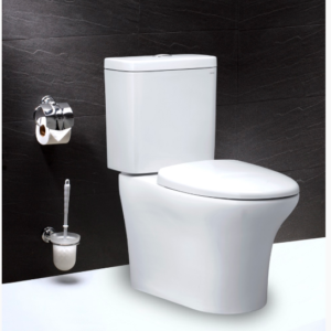 Bồn cầu hai khối, nắp êm - CD1341