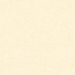 GẠCH GRANDHOME 60X60