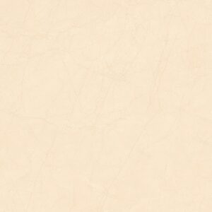 GẠCH GRANDHOME 60X60