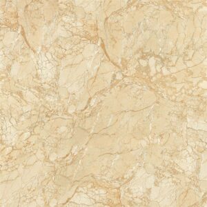 GẠCH GRANDHOME 100x100