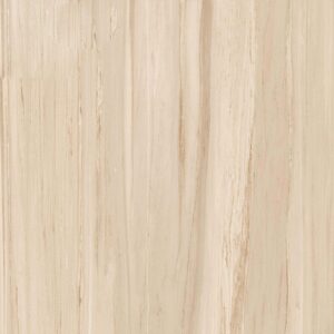 GẠCH GRANDHOME 100x100