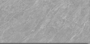 GẠCH MT ỐP LÁT 30×60 CM 04.24969