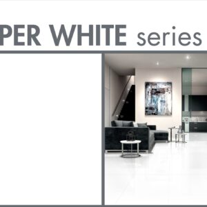 Gạch Taicera SUPER WHITE Series 60X60CM GP68035