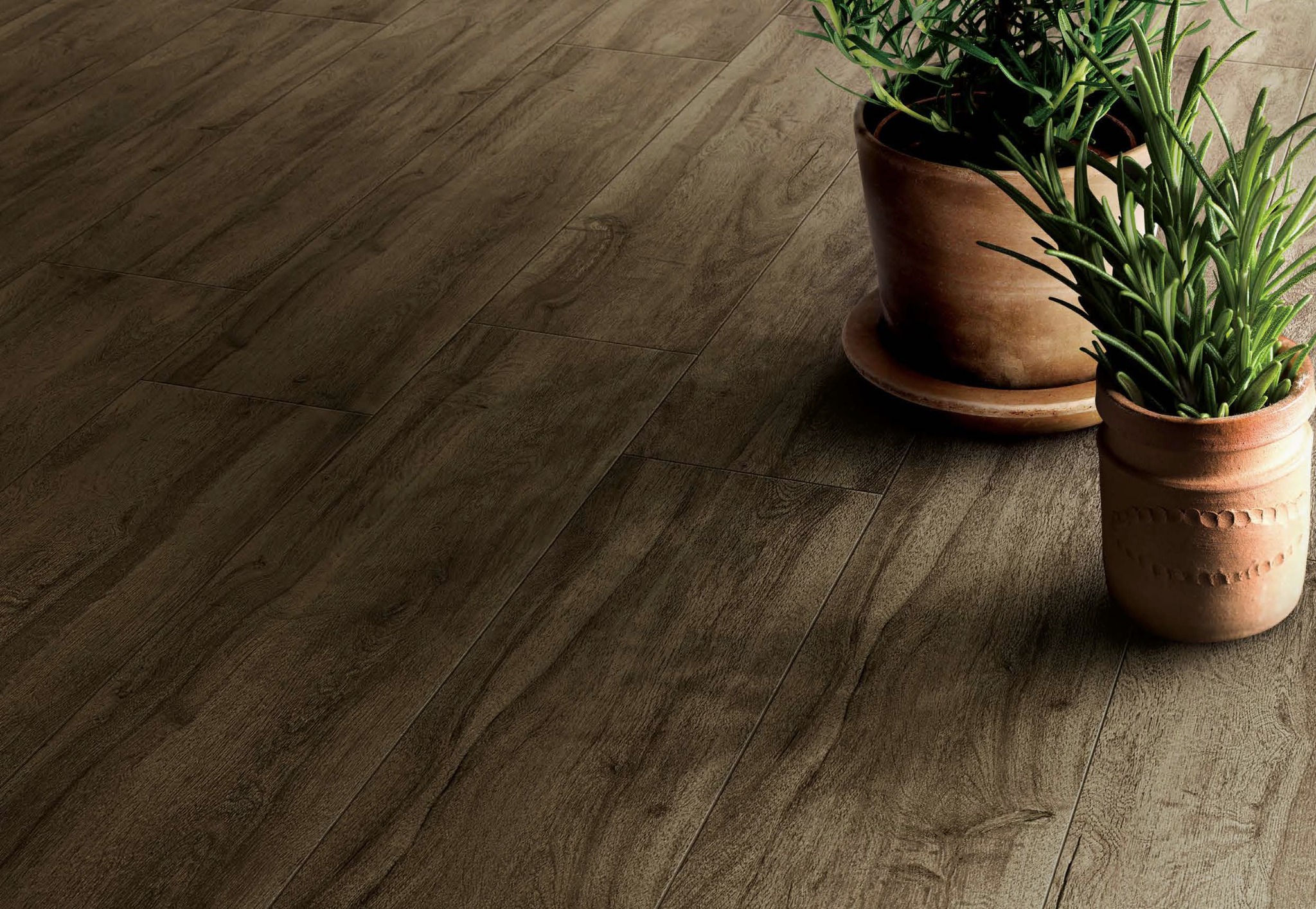 GẠCH GIẢ GỖ - VÂN GỖ CHAMPION Milano - C57635 - Ảnh 3