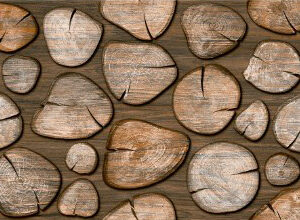 GẠCH TRANG TRÍ ỐP LÁT MỜ - 04.25319