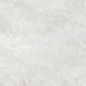 Gạch CHAMPION Pieno 488 - A80605