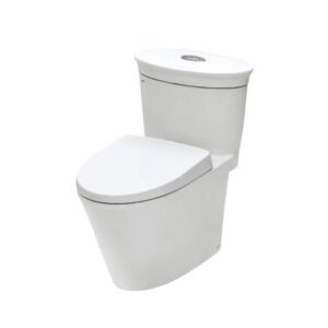 Bồn cầu 1 khối - AC-3003