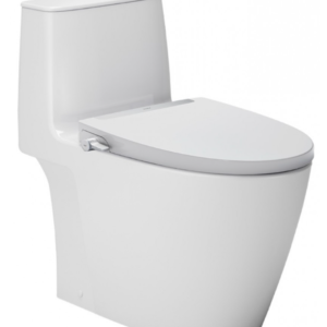 Bồn cầu 1 khối, kết hợp nắp rửa cơ - AC-902+CW-S32VN