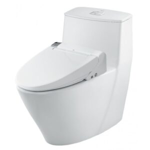 Bồn cầu 1 khối, kèm nắp rửa điện tử - AC-919R+CW-KA22AVN