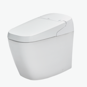 Bồn cầu điện tử G-INAX - AC-G216VN/BW1