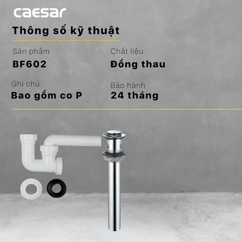 BỘ XẢ NHẤN CAESAR BF602 - Ảnh 2