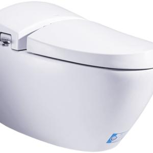 Bộ Bồn cầu một khối, COTTO - C10037