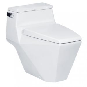 Bồn cầu một khối, màu trắng - C10077