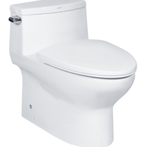 Bồn cầu một khối, màu trắng - C10127