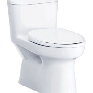 Bồn cầu một khối, màu trắng - C1015