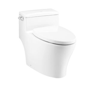 Bồn Cầu COTTO C10347 Một Khối Pause