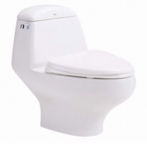 Bồn cầu một khối, màu trắng - C1046