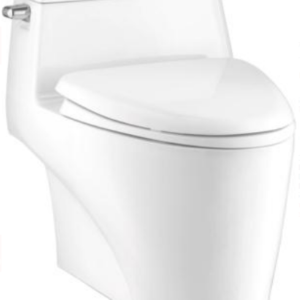 Bồn cầu một khối, màu trắng - C105217