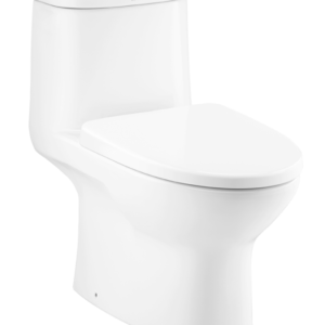 Bồn cầu một khối, màu trắng - C1053