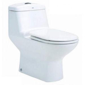 Bồn cầu một khối, màu trắng - C1111