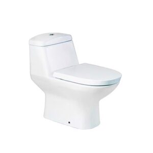 [Hàng trưng bày] Bồn cầu 1 khối COTTO, nắp đóng êm - C1113