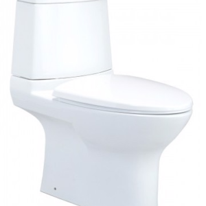 Bồn cầu hai khối, xả nhấn, nắp đóng êm Chloe - C12377