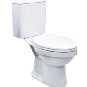 Bồn cầu hai khối, dòng Randel - C13450