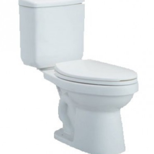 Bồn cầu hai khối, xả nhấn, nắp đóng êm, dòng Alex II - C1371