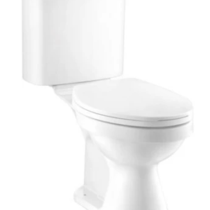 Bồn cầu hai khối, màu trắng - C13966