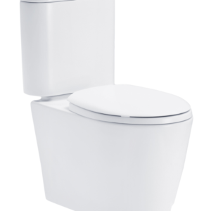 Bồn cầu hai khối, màu trắng - C16817