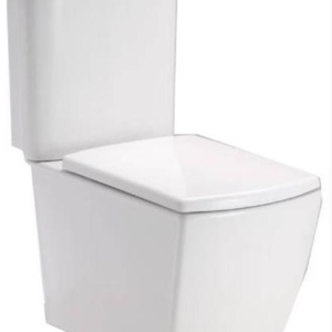 Bồn cầu hai khối, màu trắng - C16887