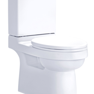 Bồn cầu hai khối, màu trắng - C1881