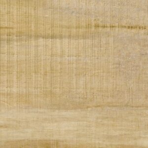 GẠCH GIẢ GỖ - VÂN GỖ CHAMPION Iforest II - C21632Y