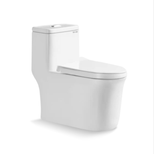 Bồn cầu một khối - CA-8817