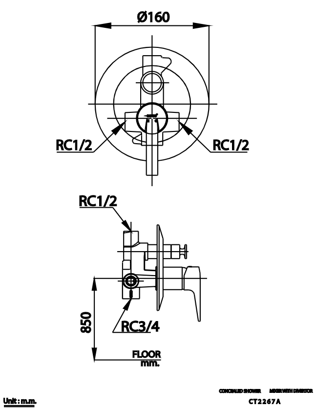 CỦ SEN TẮM COTTO - CT2267A - Ảnh 2