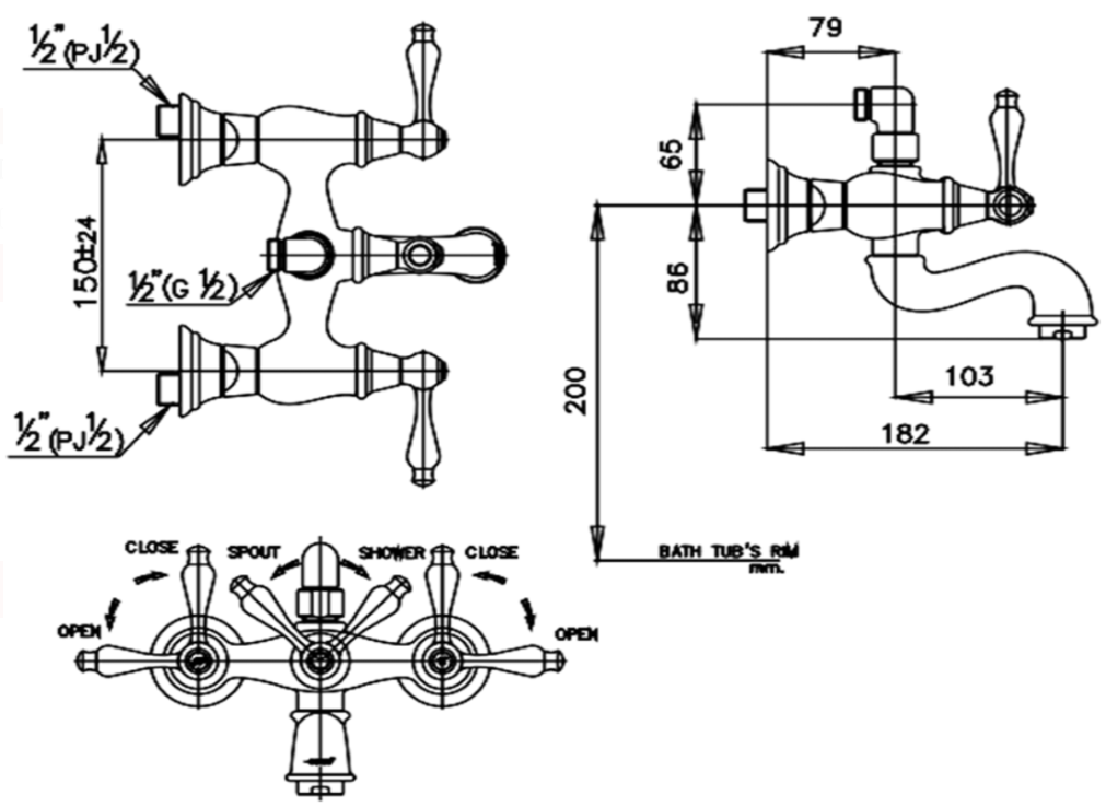 CỦ SEN TẮM COTTO - CT256C17 - Ảnh 2