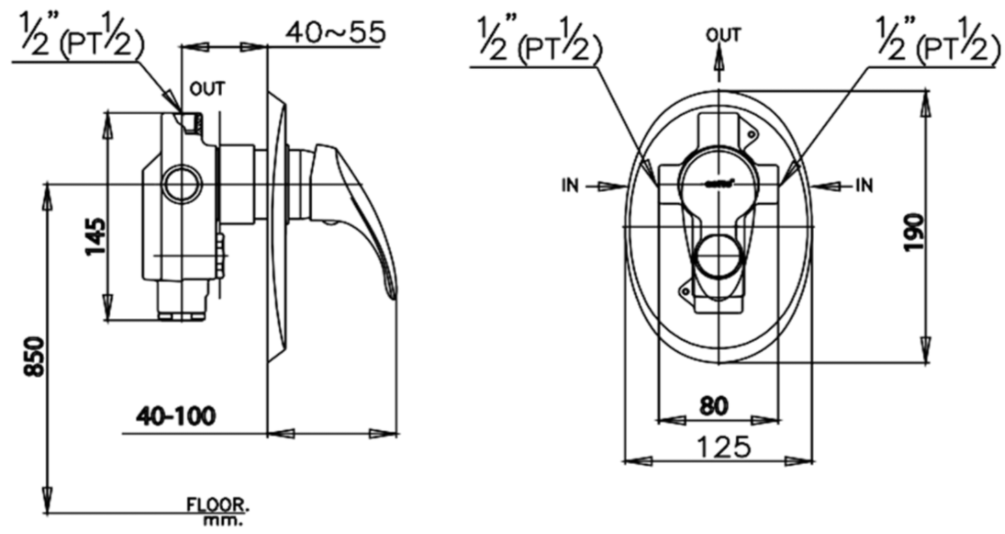 CỦ SEN TẮM COTTO - CT589A - Ảnh 2