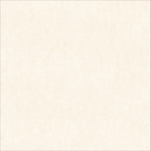 GẠCH EUROTILES ĐAN VI 30X90CM