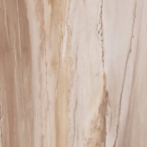 Gạch CHAMPION Karnik - DB71015YR