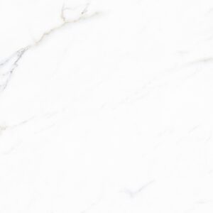 Gạch CHAMPION Pieno 480 - FWA48009