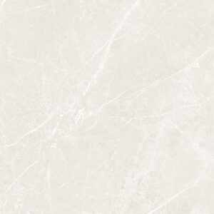 Gạch CHAMPION Pieno 480 - FWA48012