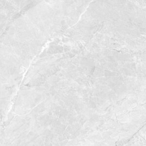 Gạch CHAMPION Pieno 480 - FWA48017