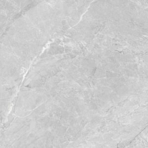 Gạch CHAMPION Pieno 480 - FWA48018