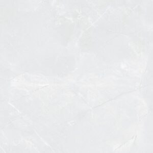 Gạch CHAMPION Pieno 480 - FWA48019