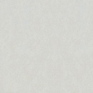 Gạch Taicera PARKWAY Series 30X30CM G38025