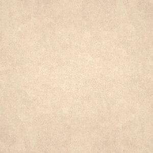 Gạch Taicera ADORIA Series 30X30CM G38932ND