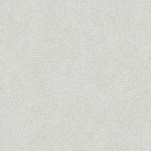 Gạch Taicera PARKWAY Series 60X30CM G63025